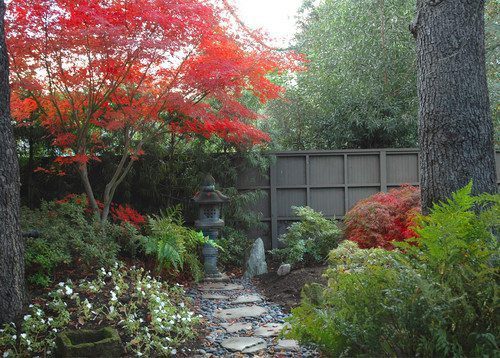 asian landscape