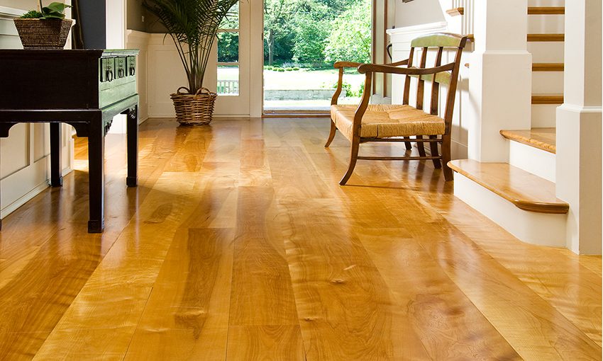 Birch vs. Oak Wood Floors: Which Is The Better Option?