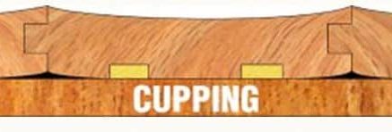 Moisture in Hardwood Flooring Issues