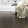Hyde Park Carlisle Wide Plank Floors