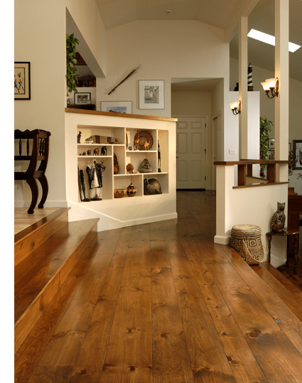 Eastern White Pine in living space